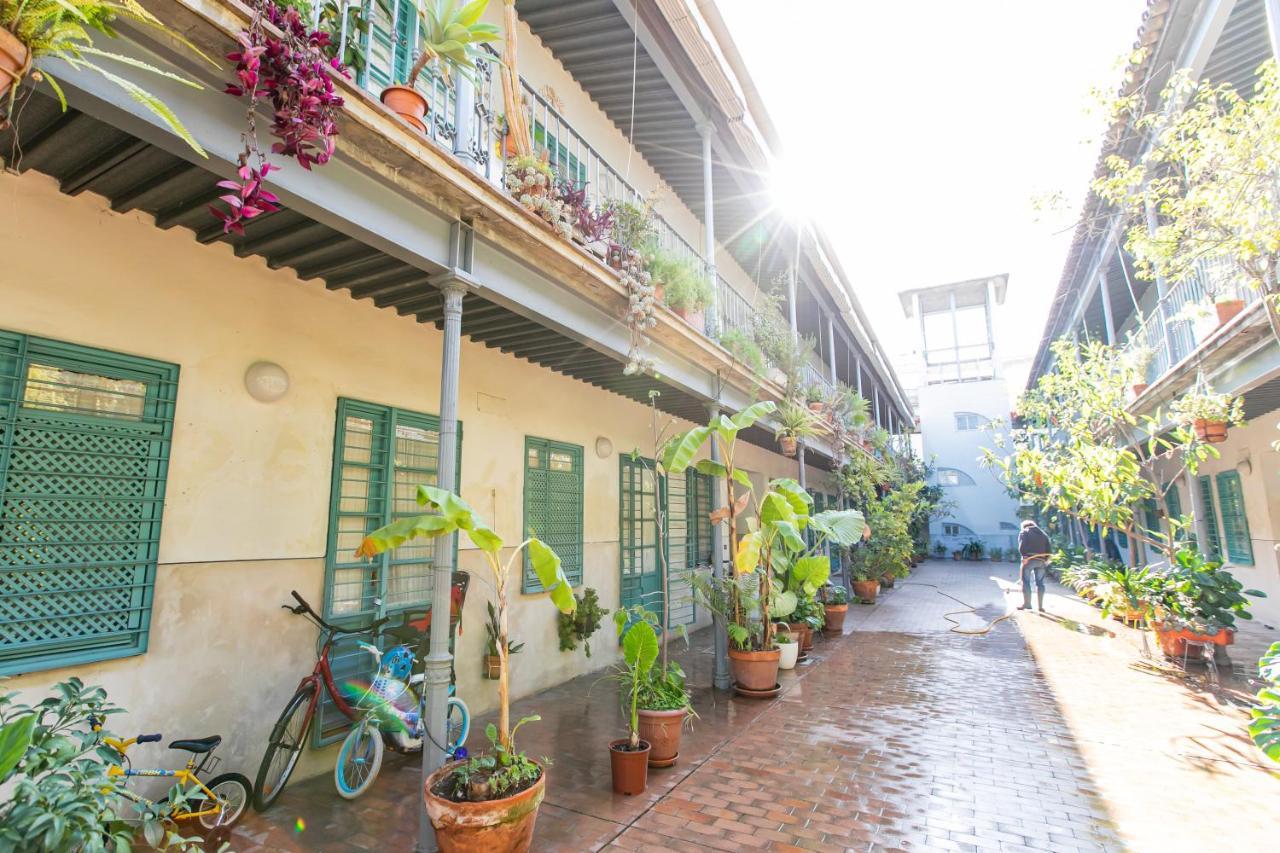 Apartamento 3 Dormitorios En Calle San Vicente. Sevilha Exterior foto